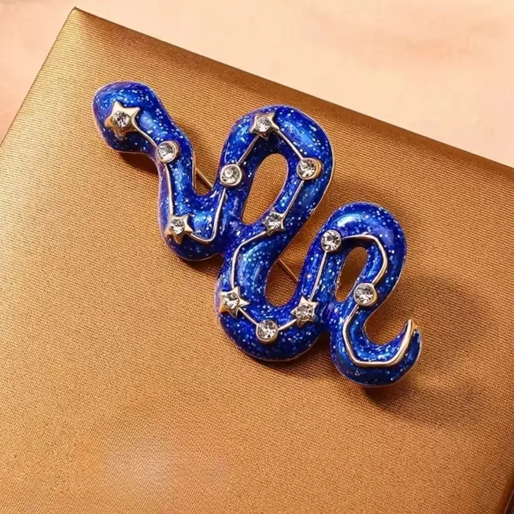 Universe Snake Blue Serpent Constellation Stars Brooch